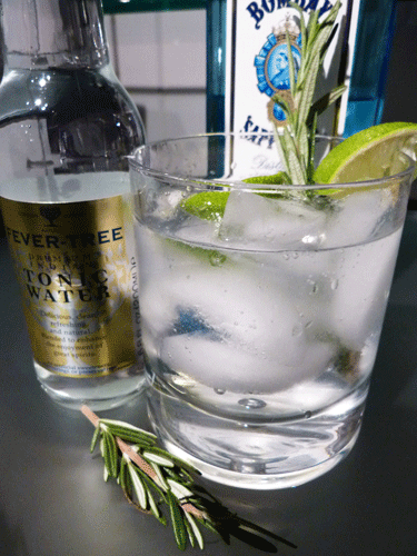 Pine-Island-Gin-and-Tonic