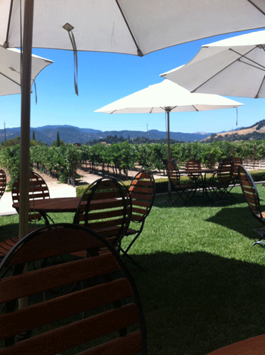 Picnic grounds of the Clos du Val Vineyard